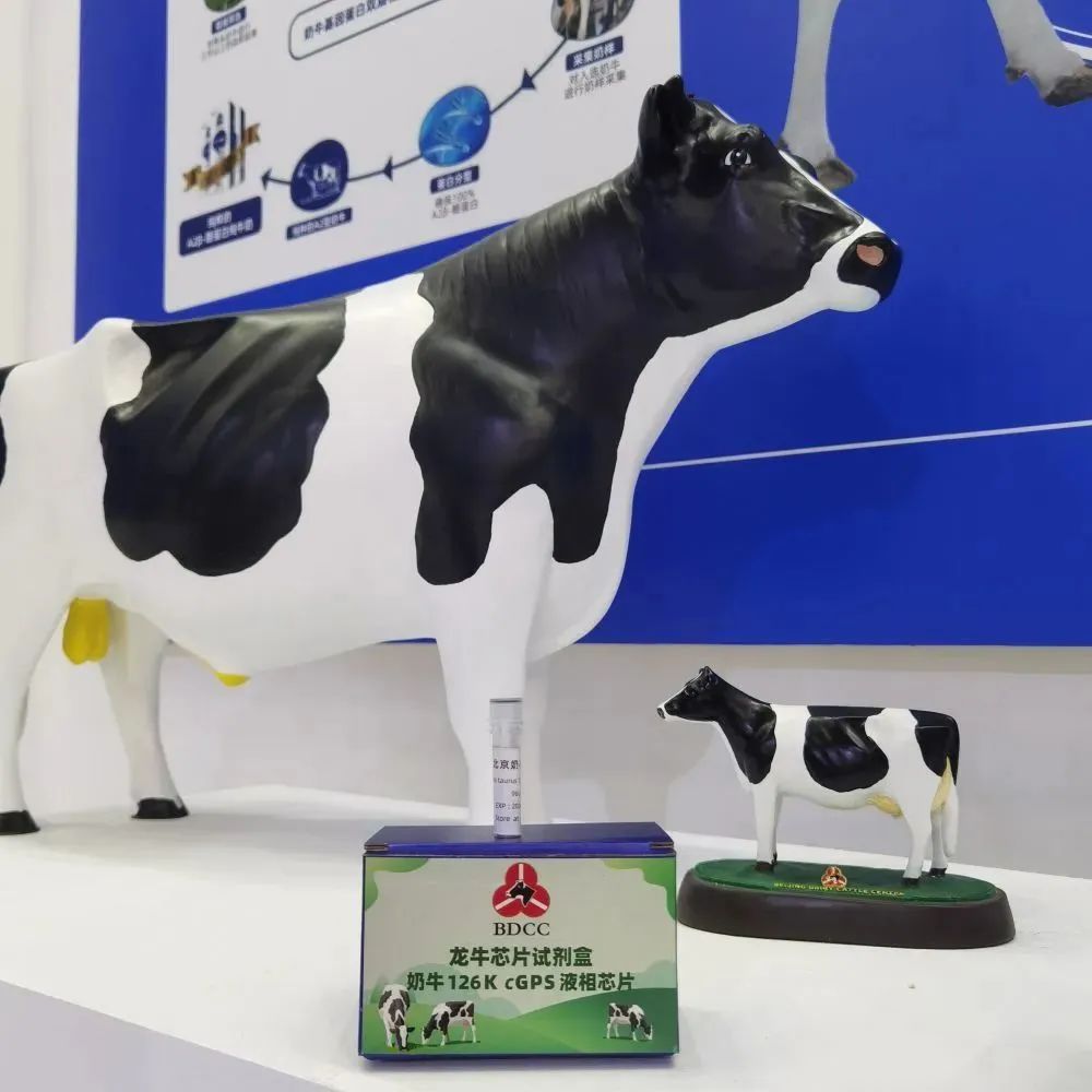 科技前沿|這款芯片，取得重要突破！(圖1)